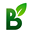 Brand Of Bd Plants